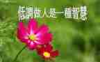 作文与做人的作文精选8篇