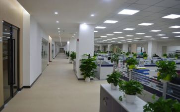 组织室的工作计划模板8篇